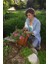 Bird SW20-30PS Drip Irrigation Spot Watering Dripper/emitter, 2 Gallon Per Hour, 30-Pack 4