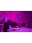 Sky Lite Evolve LED Yıldızlı Gökyüzü Projektörü, Galaksi Işığı, Gece Lambası (Sadece Bulutlar) 3