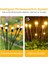 Güneş Işıkları Açık Bahçe, 4 Paket Güneş Ateşböceği LED Işıklar Açık Su Geçirmez, Starburst Sallanan Güneş Dış Mekan Işıkları, Güneş Enerjili Yol Aydınlatma Bahçe Çim Yard Yolu Dekorasyonu 2