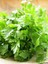 Garden Yerli Maydanoz Tohumu Iri Akgen 2500 Ad. Tohum 1