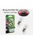 P21W Longlife Ecovision Geri Vites Park Ampül Tek Duy, 12V, 2'li Paket Otomotiv Ampulü 2