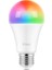 Fıg. Lumi Çok Renkli LED Wi-Fi Akıllı Ampul 1