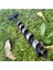 Ayısı® Nordic™ Delme Çapı 18 mm - Bushcraft Isveç El Burgusu Boyunduruk Isveç Ocağı Outdoor Kamp Ekipmanı 2