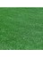 Çim Coşturan 2800 Çim Gübresi 10 kg 500 M2 (25.5.5)+Me 3