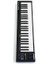 Impact GX49 USB Midi Klavye 4