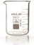 Beher, Cam, Kısa Form, 100ML 1