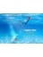 Fındx Pro Yetişkinler Için Metal Dedektörü, Altın Için Profesyonel Tamamen Su Geçirmez Metal Dedektörü, Pinpoint, USB Şarj Edilebilir, Arkadan Aydınlatmalı LCD (Kulaklıklı Komple Kit, Taşıma 2