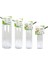 Hamster Suluğu L Boy 500 ml 1