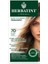 7d Blond Dore Altın Sarısı Saç Boyası, 135 ml 1