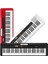 Casiotone CT-S200BKC2 61 Tuşlu Org, Siyah 1