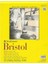 300 Serisi Bristol Pürüzsüz Kağıt Ped 27,9 x 35,6 Cm, 20 Yaprak, Kağıt, Şeffaf, 11X14 1