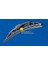 Rainforce™ MC13919 48CM 1 Adet Universal Telli Silecek 3