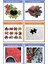 1000 Parça Vazoda Renkli Çiçekler Puzzle 5