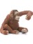 14775 – Orang-Utan Şekli Figür 3