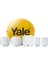 IA-320 Sync Akıllı Alarm Seti, 6 Parça, Hub, Dış Siren, Kapı/pencere Kontağı, Hareket Sensörü, Tuş Takımı, Konum Belirleme Özelliği, Alexa, Google Asistan ve Philips Hue ile Uyumlu 1