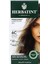 6c Dark Ash Blonde Saç Boyası 1