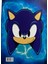 Sonic Temalı Stickerlı, Maskeli ve Boyamalı Aktivite Kitabı (8 Sayfa) 2