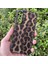 Samsung Galaxy A56 Kılıf Leopar Desenli Içi Kadife Kapak 1