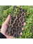 Samsung Galaxy S23 Ultra Kılıf Leopar Desenli Içi Kadife Kapak 1
