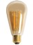 4W Rustik LED Ampul Gün Işığı CT-4350 3 Adet 1