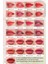 Uzun Süre Kalıcı ve Hafif Formüllü, Kadife Bitişli Tint PERIPERA Ink Airy Velvet (31 Mild Rose) 7