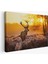 -Premier Kanvas Serileri- Geyik Gün Batımı Dekoratif Kanvas Tablo 1120 3