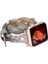 Apple Watch Uyumlu Deri Kordon Peggy 38-40-41MM Dtrtrst9 1