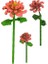 s Flower Arrangement Mini Blok Camellia - CTOY-749 2