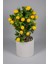 Beyaz Beton Saksıda Gerçekçi Görünümlü Yapay Limon Ağacı 40 cm 4