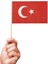 Sopalı Küçük (Çıtalı - (12*22,5 cm ) Kağıt Bayrak 20 Adet 1