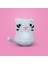 Kedoli Örgü Öğrenme Kiti | Yeni Başlayanlar Için Videolu Tığ Işi Amigurumi Kedi Örgü Seti 2