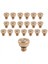 20PCS Pirinç Soğutma Sistemi Için Sülün Nozaları 0.012 Inç (0.3 Mm) Su Sprey Mzdi Soğutma Soğutma (Yurt Dışından) 1
