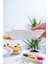 6 Lı Çukur Yemek Tabağı - 19 cm 2