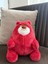 Peluş Bodur Ayı Oyuncak Uyku Arkadaşı Yastık 27 cm 3
