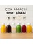 6 Adet 50 ml Shot Ginger Şişe Cam Mini Plastik Kapaklı Kolonya Koku Süs Küçük Cam Şişe Iksir Şişesi 1
