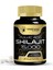 Wellnees Labs Himalayan Shilajit Capsules For Men - 1500MG 1