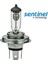 H4 12V 60-55W P43T Tırnaklı Halogen Far Ampülü 2li 1