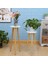 Santkuee Serbest Daimi Bonsai Tutucu Ev Balkon Ahşap Etli Saksı Tezgahı Saksı Tabanı Ayak ile Modern Raf Ofis-A (Yurt Dışından) 3