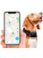Köpek Takip Cihazı Akıllı Gprs Sistemli 1