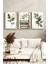 🌿 Kitap ve Doğa Temalı 3'lü Çerçeveli Tablo Seti🌿 CRV1095 23 x 32 5