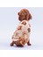 Bubu Cozy Peluş Sweat Ayı Desenli Kedi Köpek Sweati Kedi Köpek Kıyafeti Köpek Peluş Kolsuz Sweat Sıcak Tutan Süveter 1