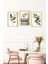 🌿 Bitki ve Kitap Temalı Çerçeve Görünümlü 3'lü Tablo Seti 🌿🌟 CRVS1095 13 x 17 4