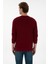 Erkek Bordo Sweatshirt 50313760-VR014 5