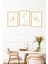 🌿 Zarif Beyaz Zambaklar Temalı 3’lü Tablo Seti – Modern Çerçeve Görünümlü Duvar Dekoru🌟 CRVS1139 13 x 17 4