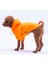 Neon Turuncu Mont Köpek Mont Köpek Kıyafeti Köpek Yağmurluğu(Küçük ve Büyük Irklar Için) 3