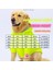 Neon Turuncu Mont Köpek Mont Köpek Kıyafeti Köpek Yağmurluğu(Küçük ve Büyük Irklar Için) 5