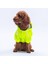 Neon Sarı Mont Köpek Mont Köpek Kıyafeti Köpek Yağmurluğu(Küçük ve Büyük Irklar Için) 2