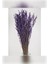 Şoklanmış Mor Lavanta 4