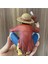 One Piece Monkey D. Luffy Anime Figür 15 cm Dekoratif Koleksiyon Biblo Oyuncak Model Gençlere Hediye 5