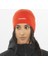 Salomon Beanie Unisex Bere 5